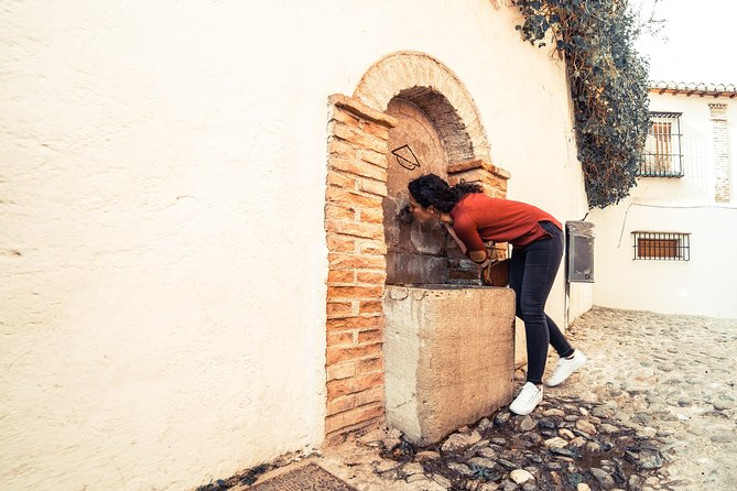 4 neighborhoods 4 cultures. Half day private tour in Granada - Realejo-San Matias and the traces of a vanished quarter