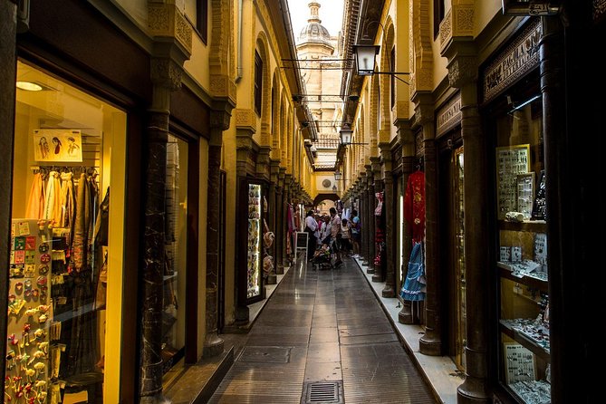 4 neighborhoods 4 cultures. Half day private tour in Granada - Casa Museo Max Moreau and the traditional carmen