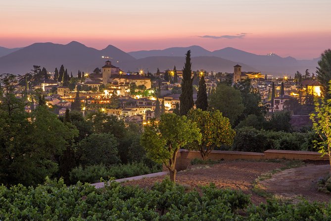 Albaicin and Sacromonte Private Tour - What the $98.33 price gets you