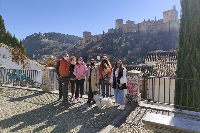 Albaicin guided tour with dogs - Why this Albaicín walk works so well with a dog