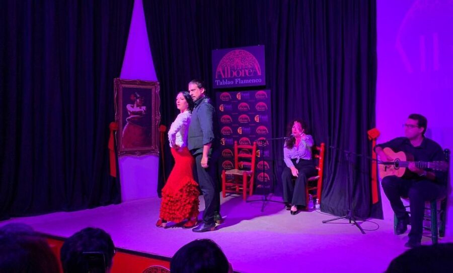 Albaicín & Sacromonte: Tour with Flamenco Show - What the local stories add