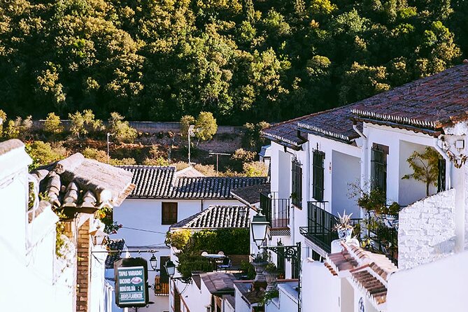 Albayzin and Sacromonte Guided Walking Tour in Granada - Sacromonte and the cave homes