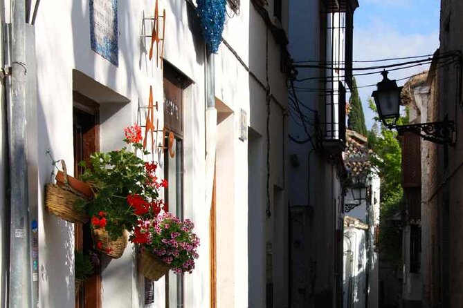 Albayzin and Sacromonte Guided Walking Tour in Granada - The guide makes or breaks the experience