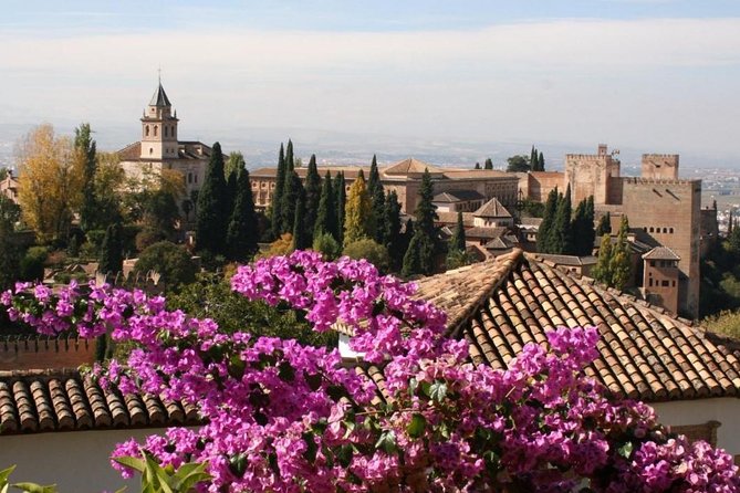 Alhambra &Charles Palace Guided Tour with Optional Nasrid Palaces - Palace of Charles V: a bold change of style