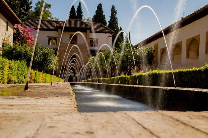 Alhambra daytime visit (8 people) - The Nasrid Palaces: one hour of royal detail