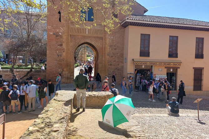 Alhambra Guided Tour, Nasrid Palaces and Generalife - What the guides add to the visit