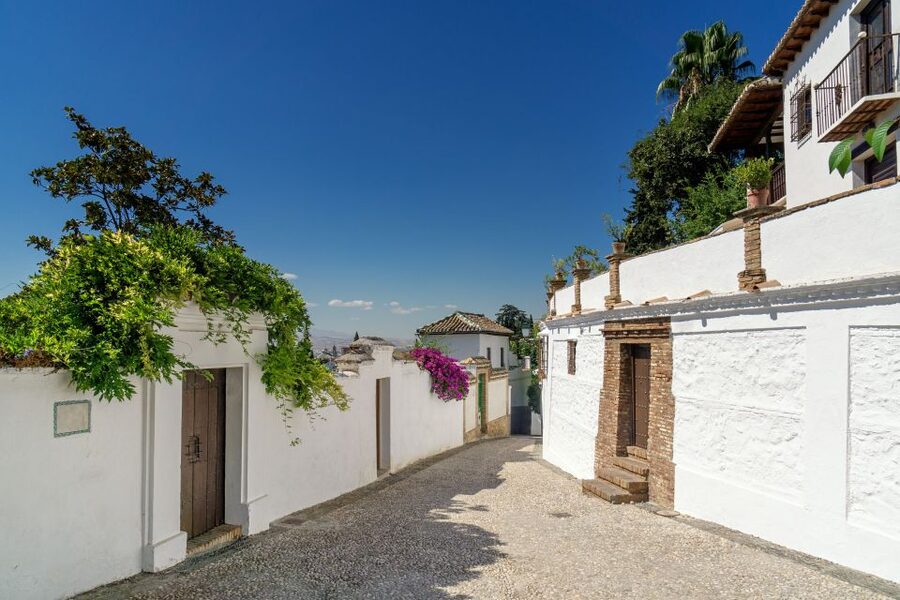 Alhambra, Nasrid Palaces and Albaicin Tour - Generalife gardens, 45 minutes