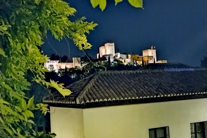 Alhambra Private Tour: Nasrid Palaces and Generalife - How the Private Format Changes the Experience