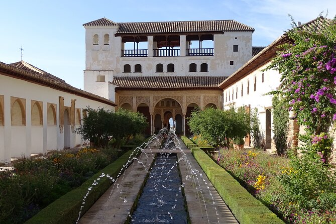 Alhambra Private Tour: Secrets of the Alhambra - The Nasrid Palaces: one hour of the artistic high point