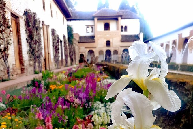 Alhambra Private Tour with Tickets to the Nasrid Palaces - What the guide changes