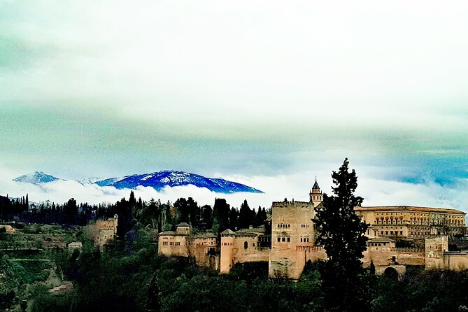 Alhambra Private Tour with Tickets to the Nasrid Palaces - Who should book this Alhambra tour?