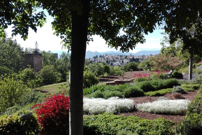 Alhambra private tour (without tickets) total/group Max 15 people - Why a private Alhambra visit can be worth it