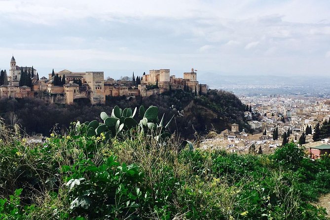 Alhambra private tour (without tickets) total/group Max 15 people - What the 2.5-hour schedule means for you