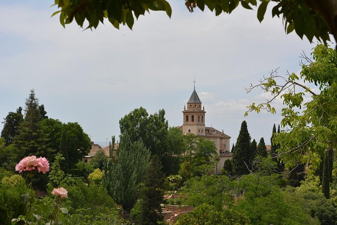 Alhambra Skip-the-Line Guided Tour - What the $108.71 price really buys