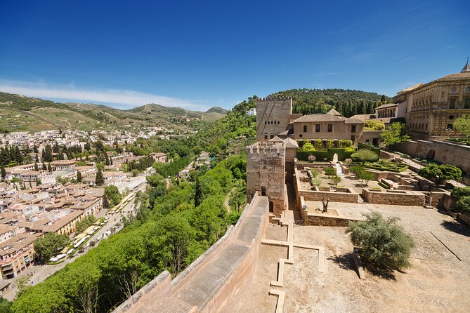 Alhambra Ticket and Guided Tour with Nasrid Palaces - Who should book this Alhambra experience?