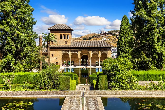 Alhambra Ticket and Guided Tour with Nasrid Palaces - A three-hour route through Granada’s royal complex