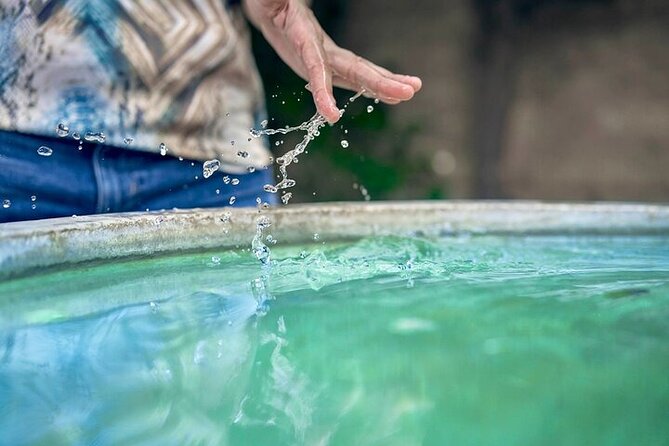 Alhambra Ticket Last Minute Deals - The Generalife gardens and summer retreat