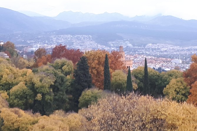 Alhambra Tour :Generalife Gardens ,Palaces and towers.Skiptheline - Towers and the fortress