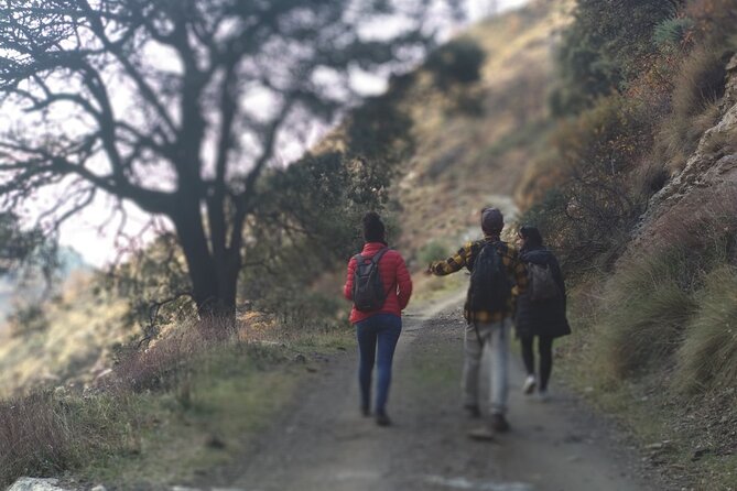 Alpujarra Private DayTrip from Granada - Capilerilla at 4,711 feet