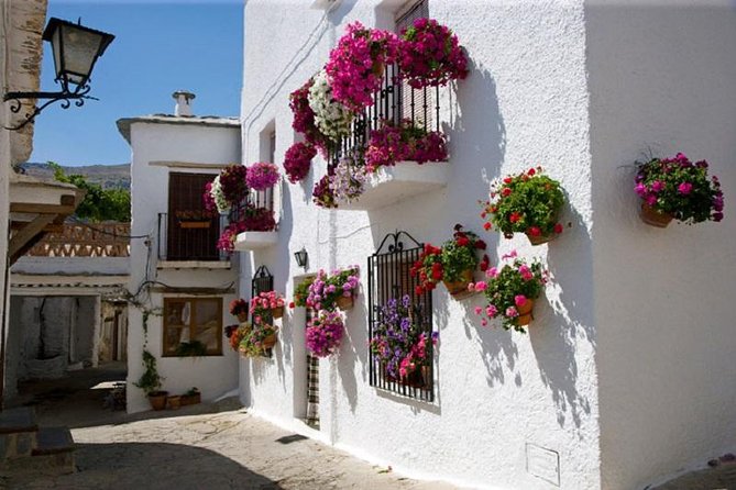 Alpujarras Day Trip Private or Small Group Tour - Pampaneira, the first village walk