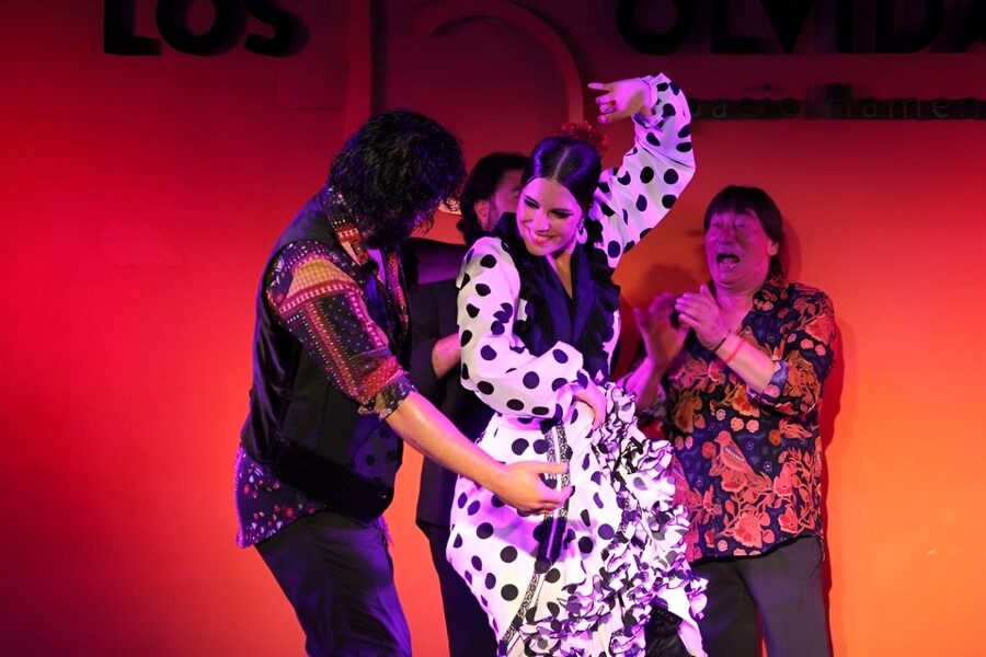 Authentic Flamenco Show & Tapas Tour in Granada - Flamenco in a lower Albaicin palace