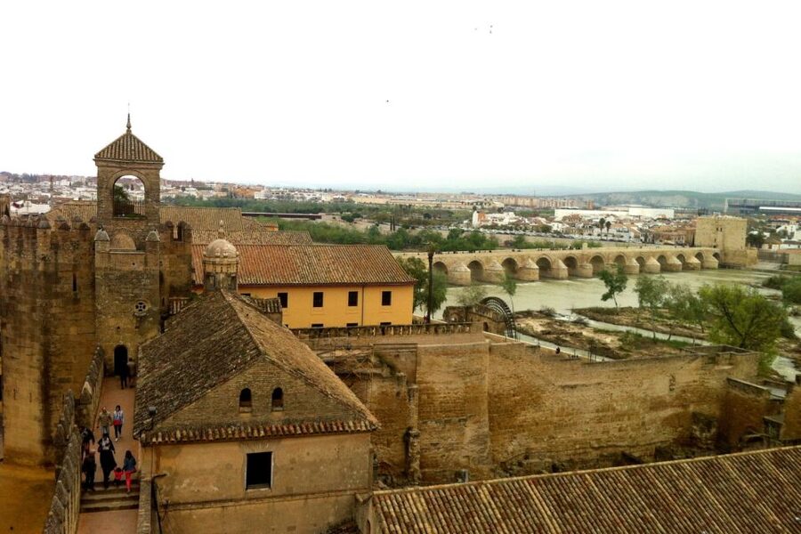Cordoba Highlights Full-Day Tour from Granada - Is the $223 price fair?