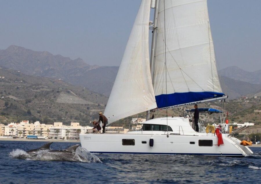 Costa Tropical: Luxury Catamaran Trip with Lunch - Looking for dolphins on the return