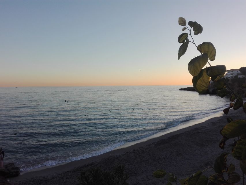 Day Tour to Frigiliana & Nerja from Granada - Key points to know before booking