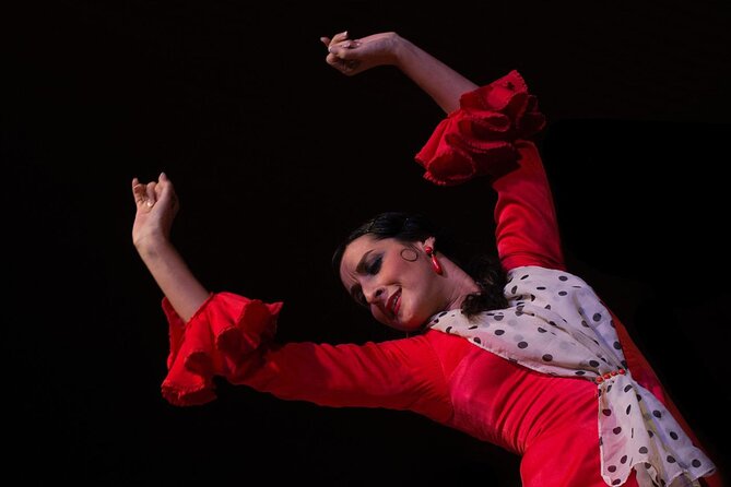 Flamenco Show in Cueva Zincalé - What the strongest praise tells you
