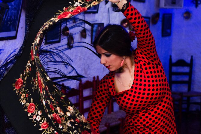 Flamenco Show in the Caves of Sacromonte - Why the Sacromonte cave matters
