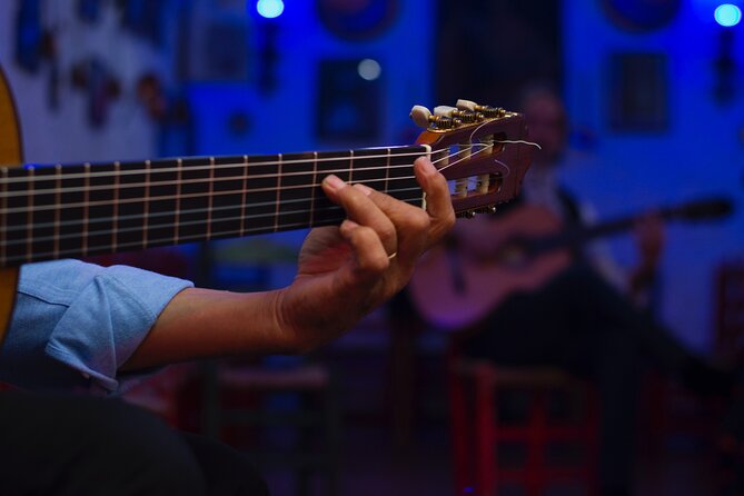 Flamenco Show in the Caves of Sacromonte - Who will enjoy Cuevas Los Tarantos