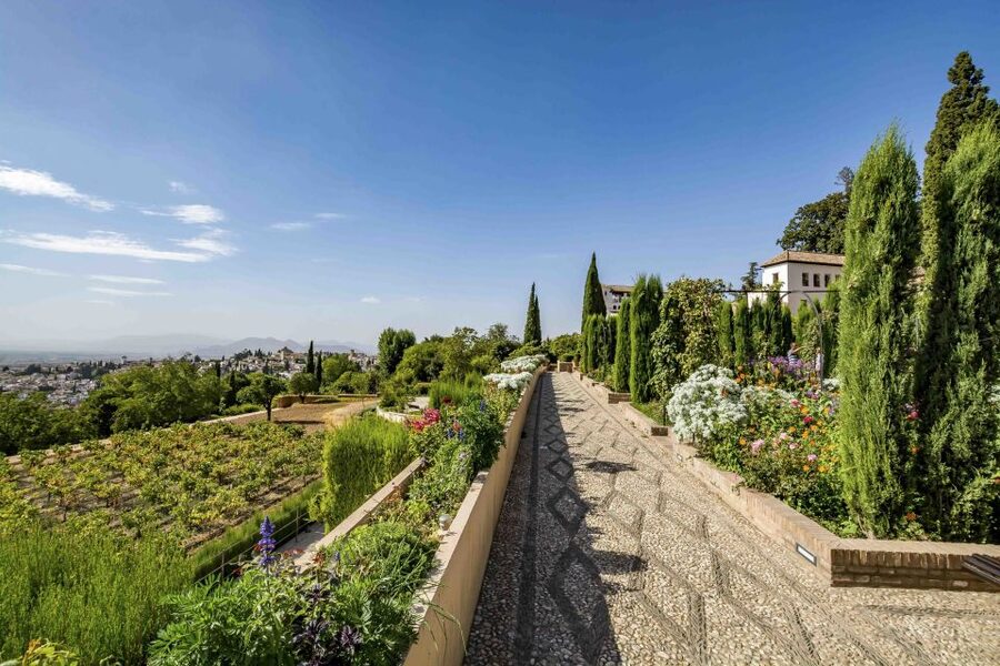 From Costa del Sol or Malaga: Granada and Alhambra Tour - San Nicolás and the view that explains Granada