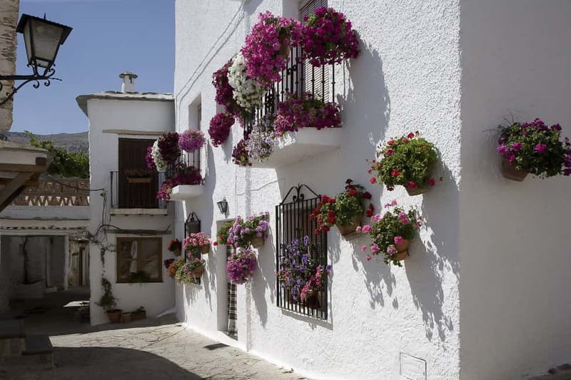 From Granada: Alpujarra Mountain Villages Tour - Pampaneira and the white village style