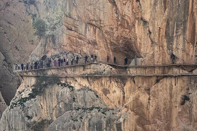 From Granada: Caminito del Rey Tour with Private transportation - Bridges, viewpoints, and the high sections