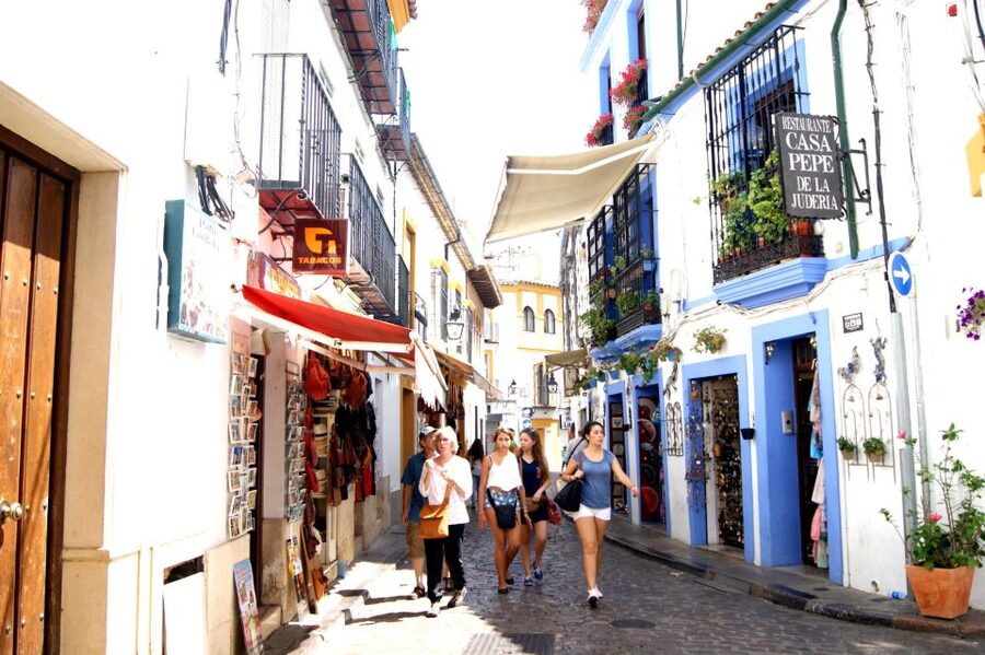 From Granada: Córdoba Day Trip with Mezquita Guided Tour - Who should book this Córdoba trip?