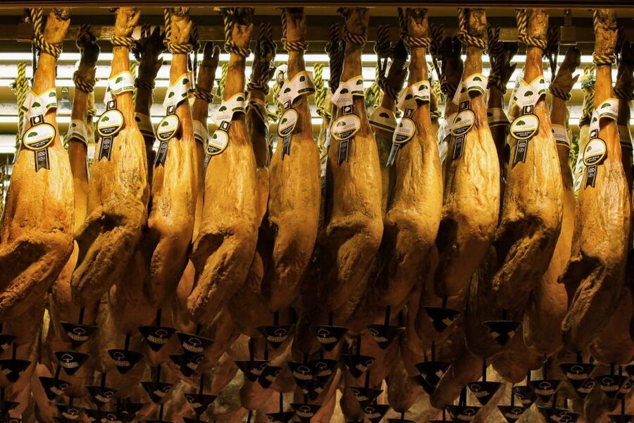 From Granada: Day Trip to Trevélez with Ham Factory - What the ham tasting adds to the day