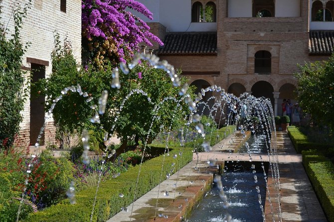 Full Alhambra tour with preferential access (SPANISH language) - Price, group size, and what you receive