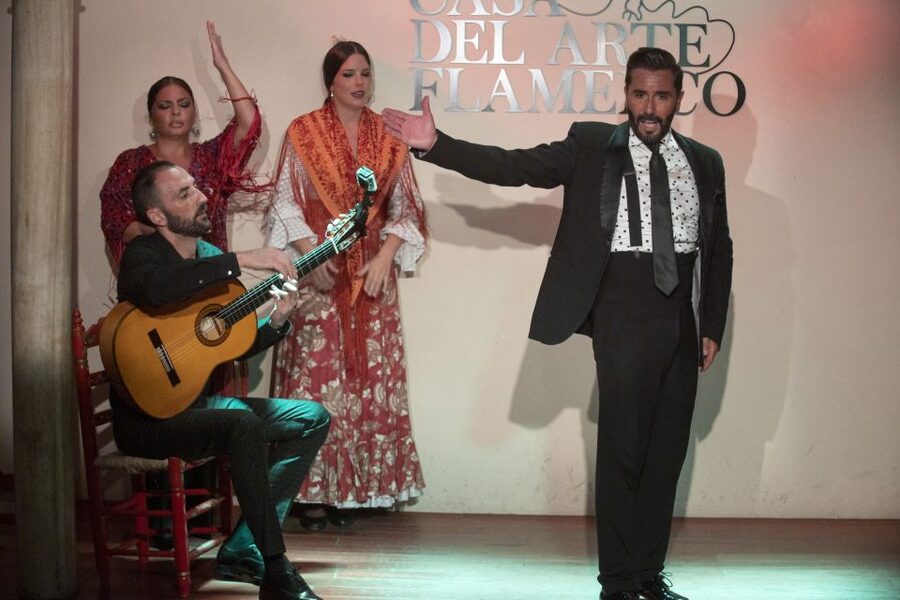 Granada: 1-Hour Traditional Flamenco Show - Key points to know before booking