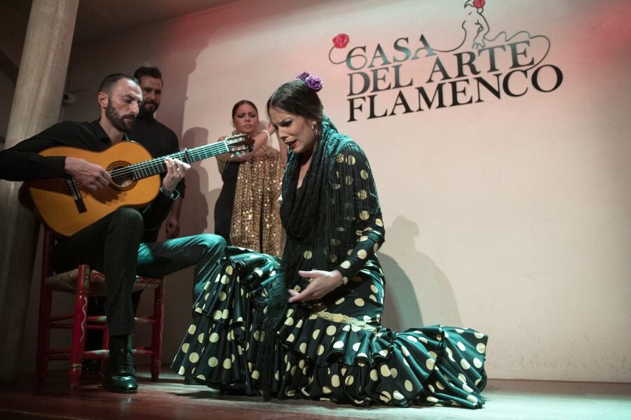 Granada: 1-Hour Traditional Flamenco Show - Is $23 good value?