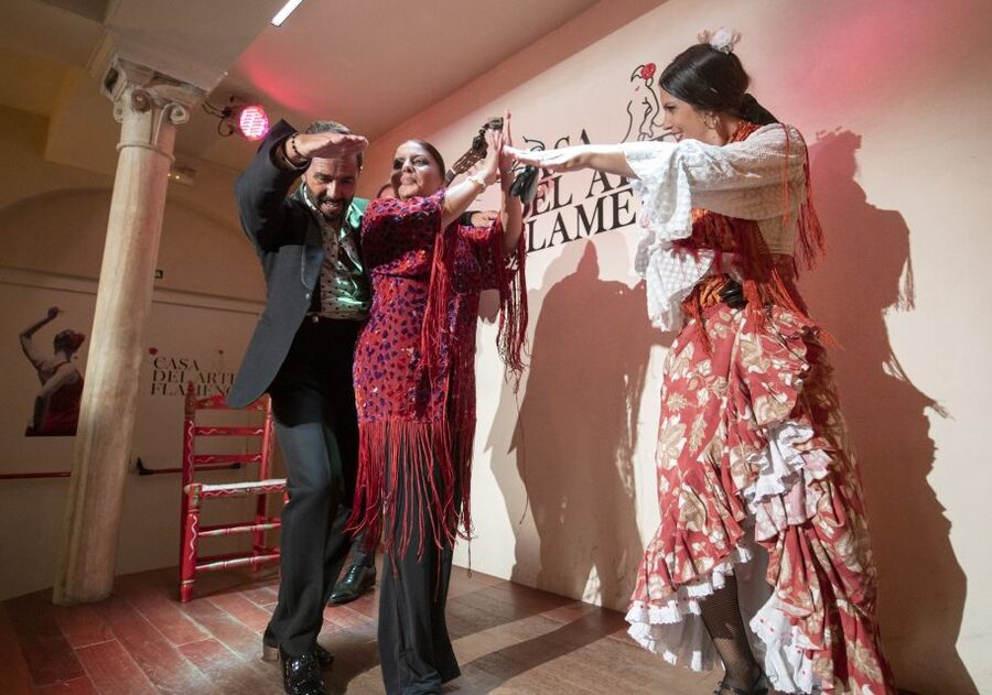 Granada: 1-Hour Traditional Flamenco Show - The room and seating experience