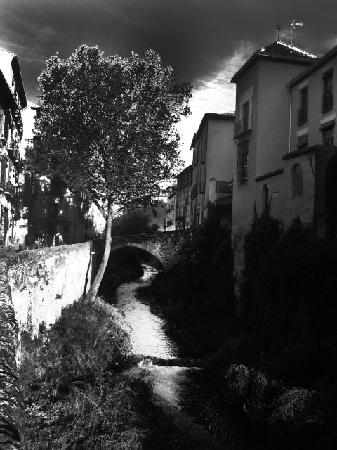Granada Albaicín: 2.5-Hour Tapas & Drinks Walking Tour - What the price means at $112