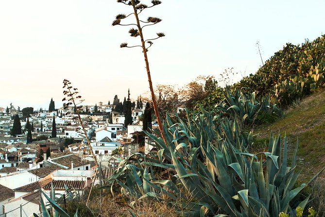 Granada: Albaicin and Sacromonte Private Tour - Calle Cruz de la Rauda and the spiritual side of the quarter