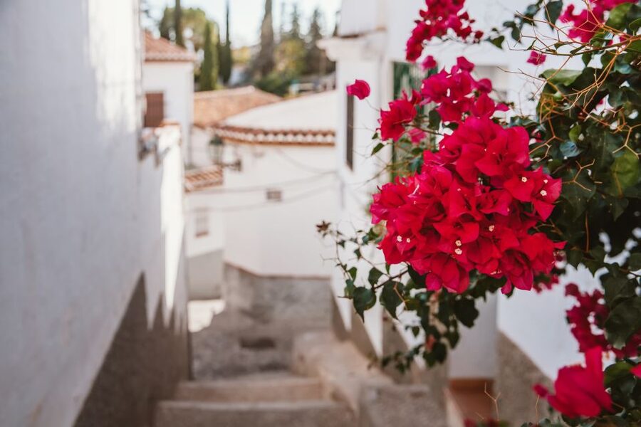 Granada: Albaicín and Sacromonte Walking Tour - Albaicín’s lanes, balconies, and old water systems