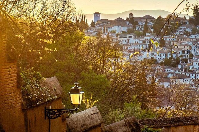 Granada: Albaicin Private tour - Timing, meeting point, and physical demands