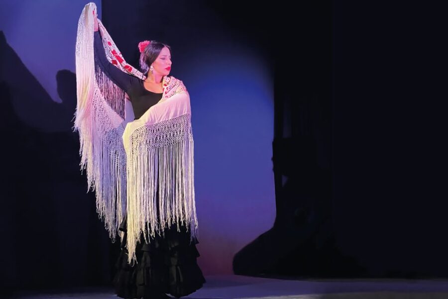 Granada: Albaicín & Sacromonte Walking Tour & Flamenco Show - Albaicín’s maze of old lanes