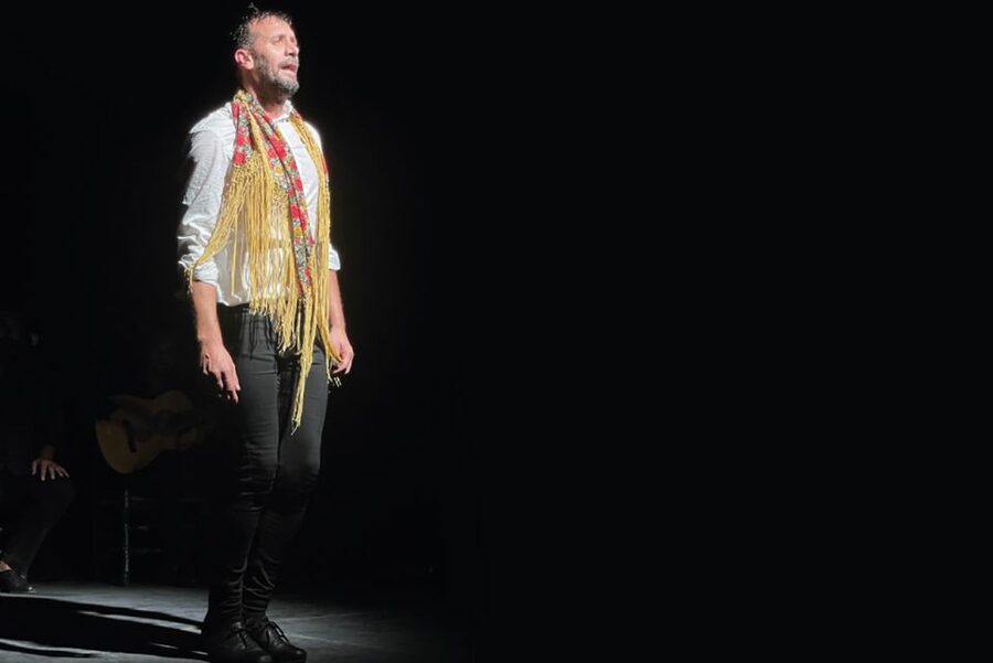 Granada: Albaicín & Sacromonte Walking Tour & Flamenco Show - A live flamenco show in central Granada