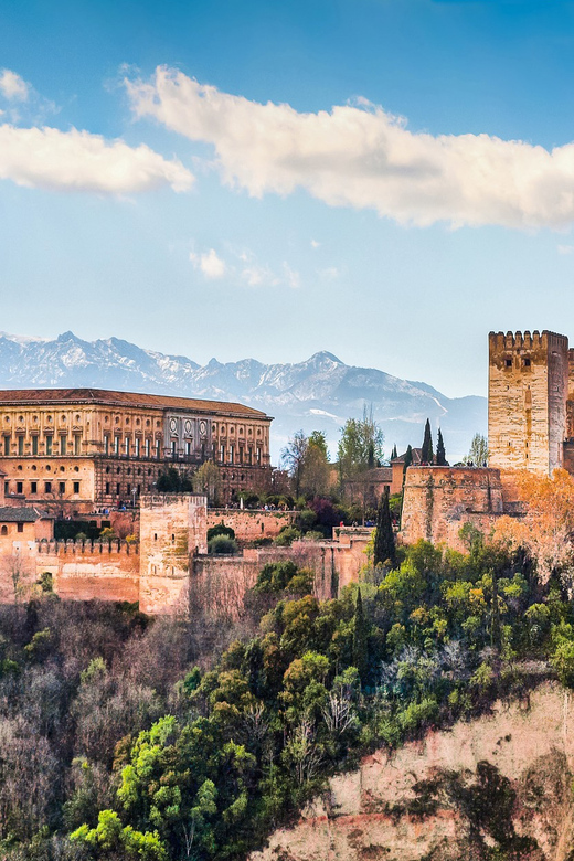 Granada: Alhambra and Nasrid Palaces Private Guide Tour - The Alcazaba and Granada from above