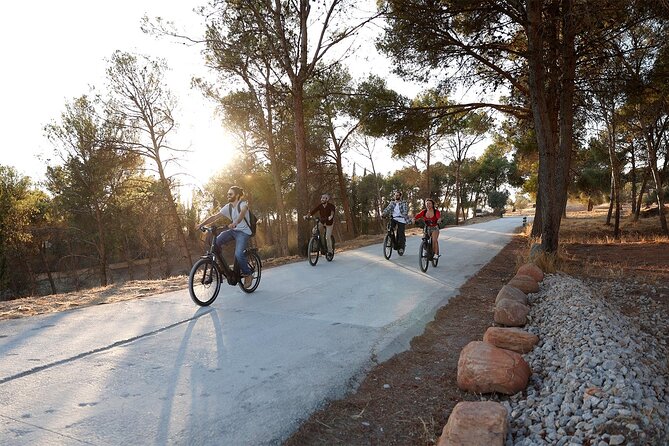 Granada: Alhambra and Sierra Nevada Sunset Views by E-Bike - What the electric bikes are like on this route
