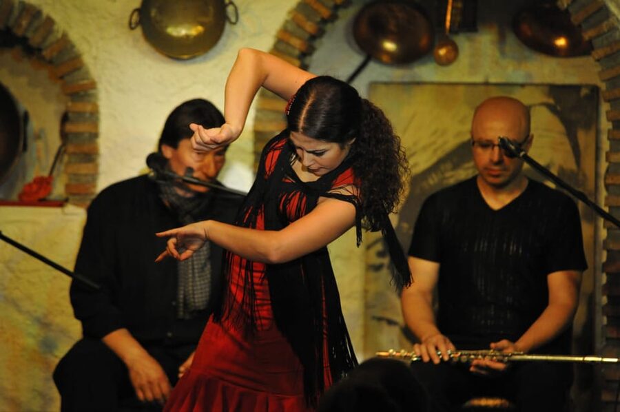 Granada: Alhambra Guided Tour and Flamenco Show - Key points to know before booking