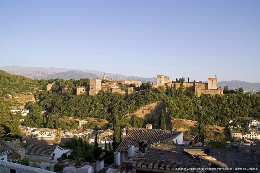 Granada: Alhambra Guided Tour and Flamenco Show - The Nasrid Palaces, where the details matter most